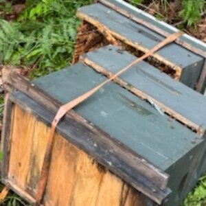 manduka Adorn Roman Top C Dusty Rose Women's size L - NWT